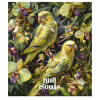 Тетрадь Школярик Bird Souls 48 листов клетка (048-3457K) - Image 4
