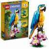 Конструктор LEGO Creator Екзотичний папуга 253 деталі (31136) - Image 9