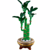 Конструктор LEGO Botanicals Бамбук щастя (10344) - Image 4