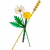 Конструктор LEGO Botanicals Польові квіти (30701) - Image 2