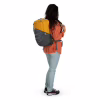 Рюкзак туристичний Osprey Quasar 26 atlas blue heather O/S (009.3132) - Image 10