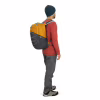Рюкзак туристичний Osprey Quasar 26 atlas blue heather O/S (009.3132) - Image 11