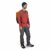 Рюкзак туристичний Osprey Quasar 26 atlas blue heather O/S (009.3132) - Image 12