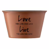 Бульйонниця Ardesto Way of Life 550 мл Brown (AR3479BR) - Image 4
