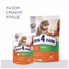 Сухий корм для кішок Club 4 Paws Преміум. Зі смаком курки 300 г (4820083909795) - Image 8