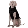 Курточка для животных Airy Vest One XS 25 черная (20621) - Image 7