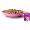 Вологий корм для кішок Whiskas Kitten Курка в желе 85 г (5900951302152) - Image 3