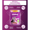 Вологий корм для кішок Whiskas Kitten Курка в желе 85 г (5900951302152) - Image 4