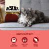 Сухий корм для кішок ACANA Highest Protein Indoor 1.8 кг (0064992723972) - Image 6