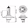 Автолампа Bosch галогенова 60/55W (1 987 302 041) - Image 5