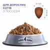 Сухой корм для кошек Club 4 Paws Премиум. С лососем 14 кг (4820083909238) - Image 3