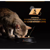 Вологий корм для кішок Purina Pro Plan Sterilised Мультипак яловичина та курка 10 x 85 г (8445290855473) - Image 5
