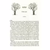 Книга Жорстокий принц - Голлі Блек Vivat (9789669820631) - Image 7