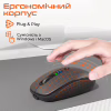 Мышка Meetion BTM100R Wireless/Bluetooth Black (MT-BTM100R-A) - Image 6