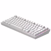 Клавиатура Dark Project ALU81 Terra Nostra PBT RGB Mech G3MS Moonstone White (DPKB_NOSTRA_81_ANSI_WHITE_UA) - Image 5