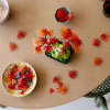 Конструктор LEGO Botanicals Бонсай з японського червоного клена (10348) - Image 9