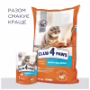 Сухой корм для кошек Club 4 Paws Премиум. С лососем 300 г (4820083909221) - Image 8