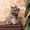 Костюм для животных Pet Fashion Pf Style S (4823082427956) - Image 5