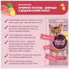 Лакомство для котов Delickcious Курица с добавлением ананаса 4 х 15 г (4820269141629) - Image 3
