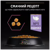 Сухой корм для кошек Purina Pro Plan Delicate Turkey со вкусом индейки 10 кг (7613033566509) - Image 6