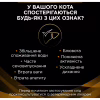 Сухий корм для кішок Purina Pro Plan Veterinary Diets NF Renal Function Early Care При хворобі нирок на ранніх стадіях 350 г (7613287882219) - Image 3