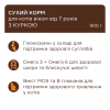 Сухий корм для кішок Club 4 Paws Преміум Adult Cats 7+ з куркою 900 г (4820269144989) - Image 3