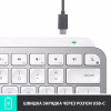 Клавіатура Logitech MX Keys Mini Wireless Illuminated UA Pale Grey (920-010499) - Image 8