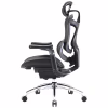 Офісне крісло Sihoo DORO C300 Pro Mesh Black (DORO-C300-PRO-M101) - Image 3
