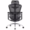 Офисное кресло Sihoo DORO C300 Pro Mesh Black (DORO-C300-PRO-M101) - Image 4