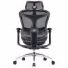 Офісне крісло Sihoo DORO C300L Mesh Black (DORO-C300L-A3-101) - Image 3