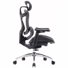Офісне крісло Sihoo DORO C300L Mesh Black (DORO-C300L-A3-101) - Image 4