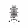 Офисное кресло Sihoo DORO C300L Mesh White (DORO-C300L-A3-102) - Image 2