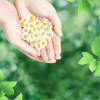 Гігієнічні прокладки Naturella Ultra Normal 20 шт (8001090585592) - Image 7