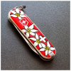 Нож Victorinox Classic SD Edelweiss (0.6223.840) - Image 5