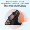Мишка Meetion BTM010R RGB Bluetooth/Wireless Black (MT-BTM010R-A) - Image 5