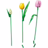 Конструктор LEGO Botanicals Букет тюльпанів (11501) - Image 4