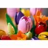 Конструктор LEGO Botanicals Букет тюльпанів (11501) - Image 7