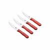 Набор ножей Bergner Bbq lovers для стейків, 4 предмети (BG-40201-MM) - Image 2