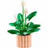 Конструктор LEGO Botanicals Спатифілум (11504) - Image 2