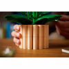 Конструктор LEGO Botanicals Спатифілум (11504) - Image 9