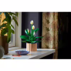 Конструктор LEGO Botanicals Спатифілум (11504) - Image 12