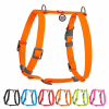 Шлей для собак WAUDOG Waterproof анатомическая Н-образная S оранжевая (32944) - Image 2
