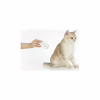 Кігтеріз для тварин Petkit LED Pet Clipper PRO (PK2302) - Image 3
