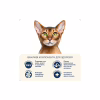 Сухой корм для кошек Home Food Grain-free hypoallergenic Suitable for exotic breeds с уткой и грушей 1.6 кг (4820235020231) - Image 4