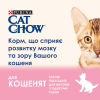 Сухий корм для кішок Purina Cat Chow Kitten з куркою 1.5 кг (5997204513984) - Image 6