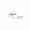 Патч-корд 1м S/FTP Cat 6A CU LSZH blue Cablexpert (PP6A-LSZHCU-B-1M) - Image 3