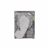 Сушильна машина Electrolux EW8D595MUC - Image 4