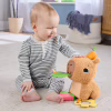 Розвиваюча іграшка Fisher-Price Капібара (HYR54) - Image 9