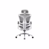 Офісне крісло Sihoo DORO C300 Pro Mesh White (DORO-C300-PRO-M102) - Image 2