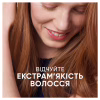 Шампунь Head & Shoulders 2 в 1 Проти лупи Свіжість ментолу 400 мл (8700216305419) - Image 2